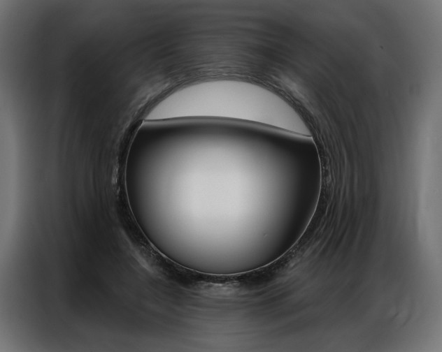 X0000086950548200704161059
