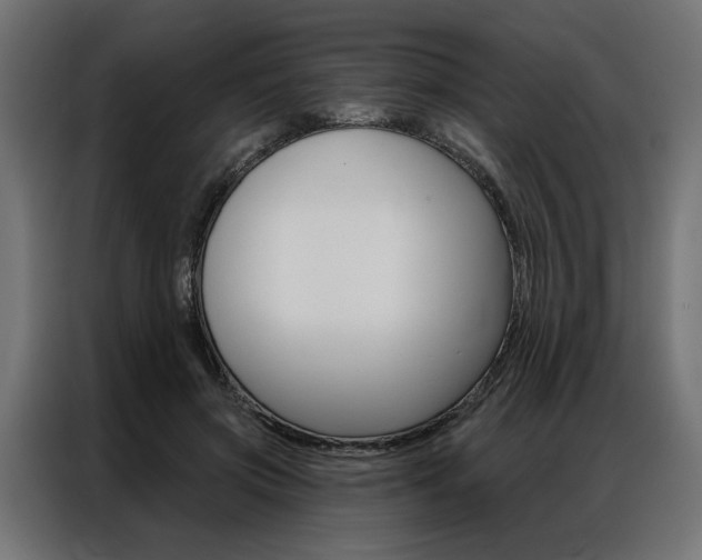 X0000086950549200704161059