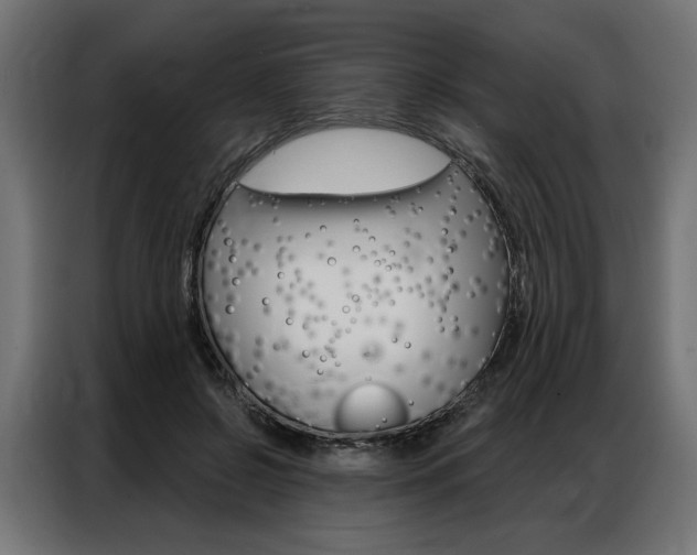 X0000086950550200704161059