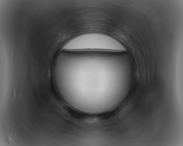X0000086950551200704161059