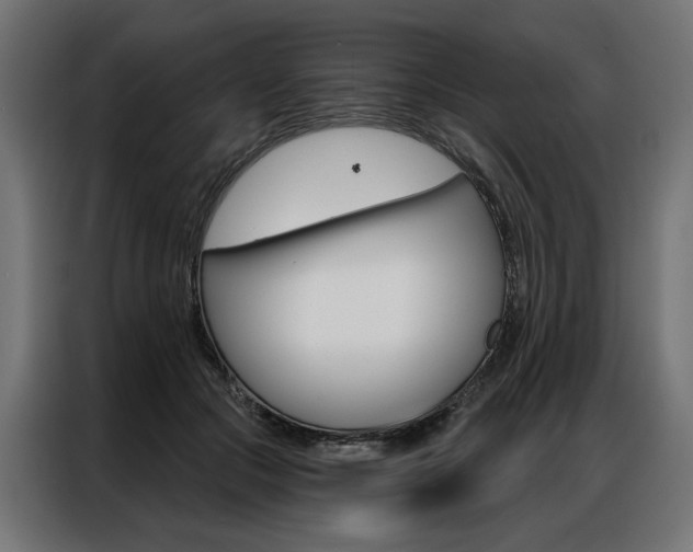 X0000086950553200704161059