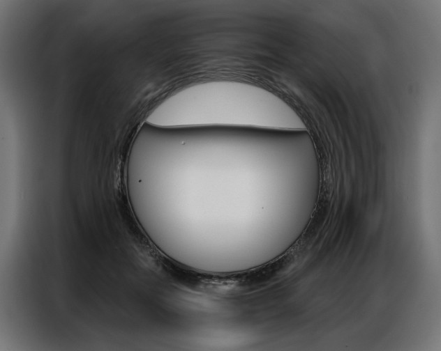 X0000086950554200704161059