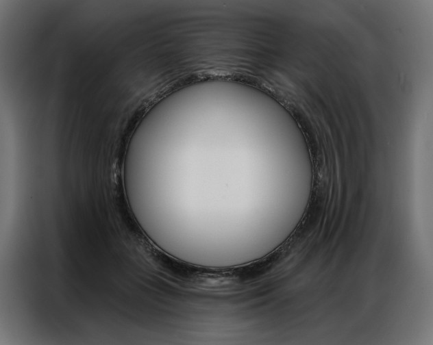 X0000086950555200704161059