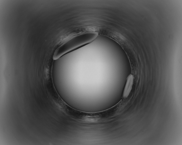X0000086950556200704161059