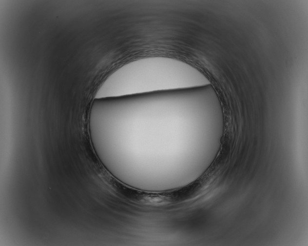 X0000086950557200704161059