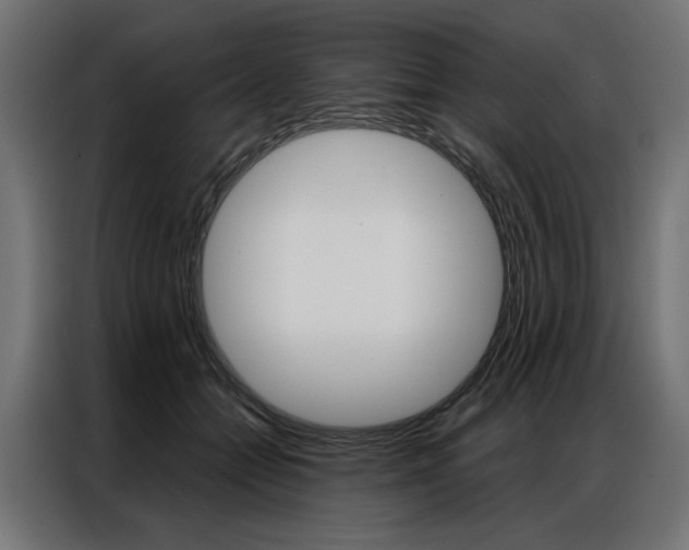 X0000086950558200704161059