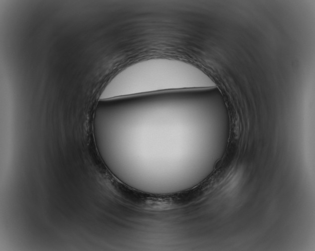 X0000086950559200704161059