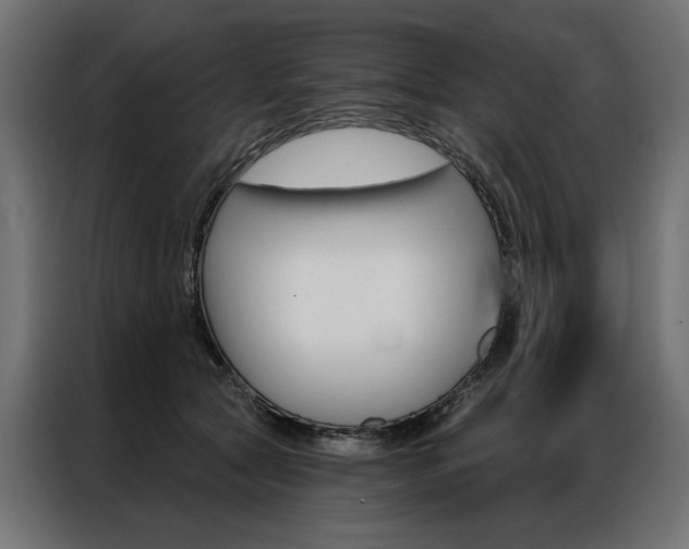 X0000086950561200704161059