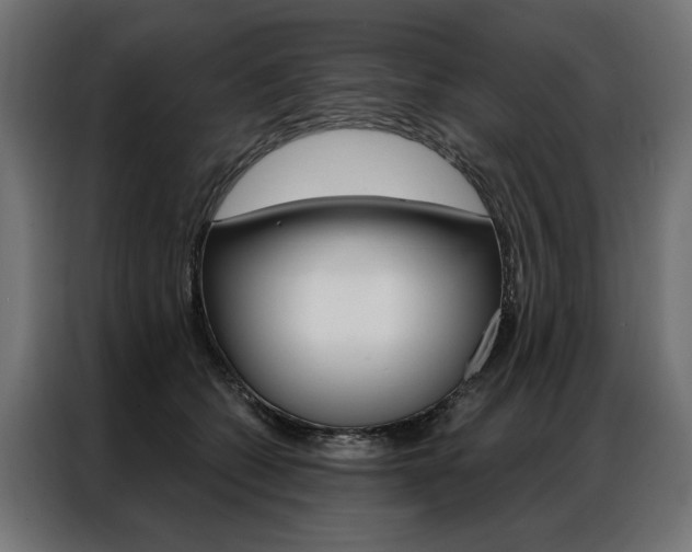 X0000086950562200704161059