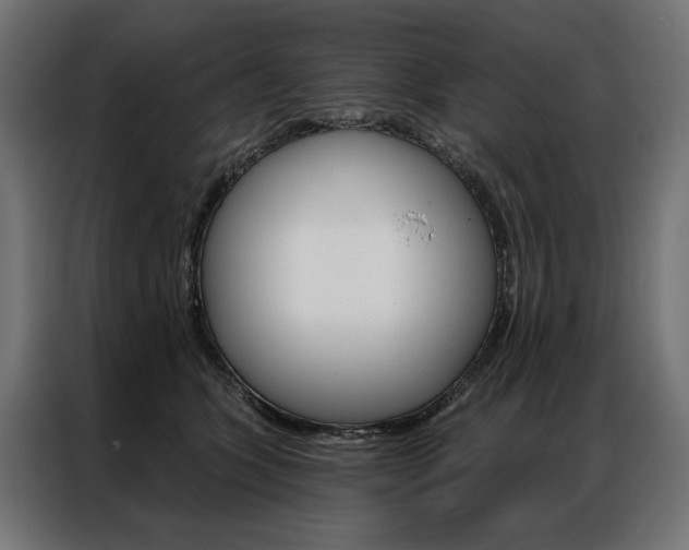 X0000086950563200704161059