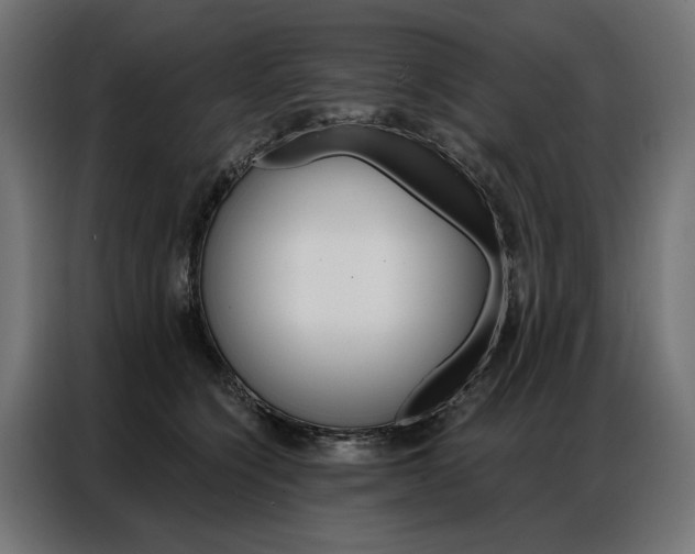 X0000086950564200704161059