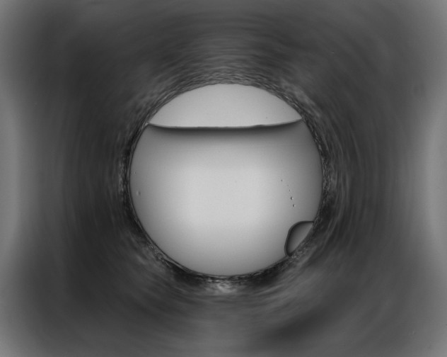 X0000086950565200704161059