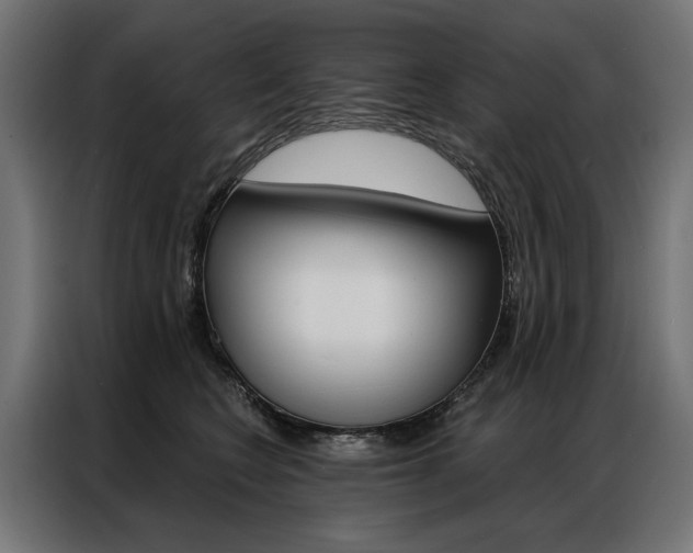 X0000086950566200704161059