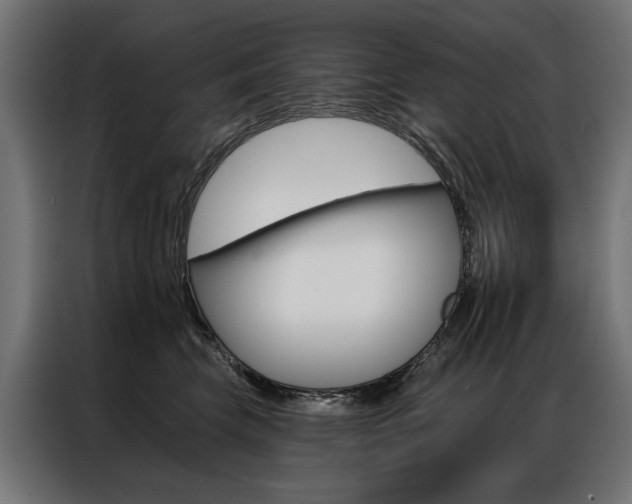X0000086950569200704161100