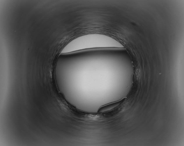 X0000086950570200704161100
