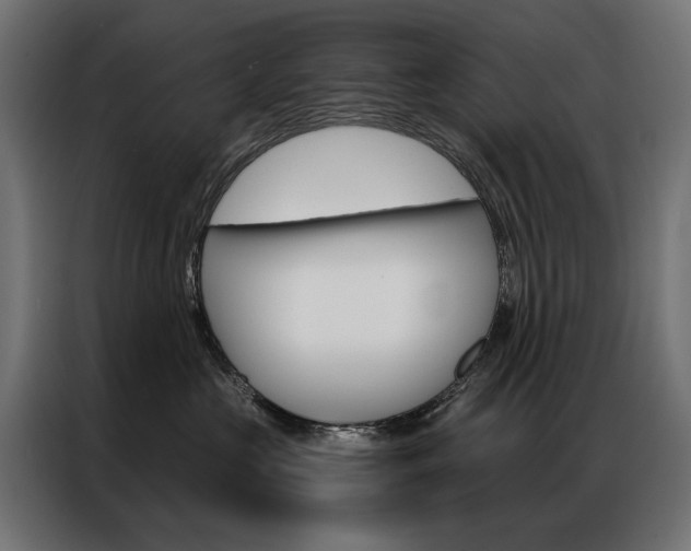 X0000086950573200704161100