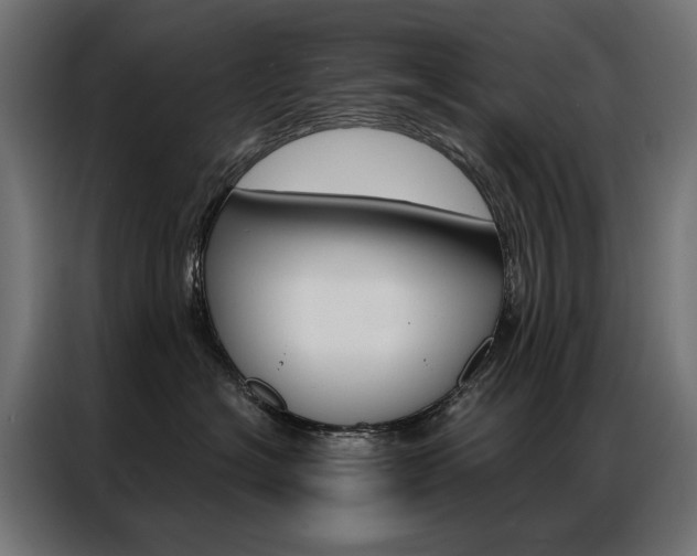 X0000086950574200704161100