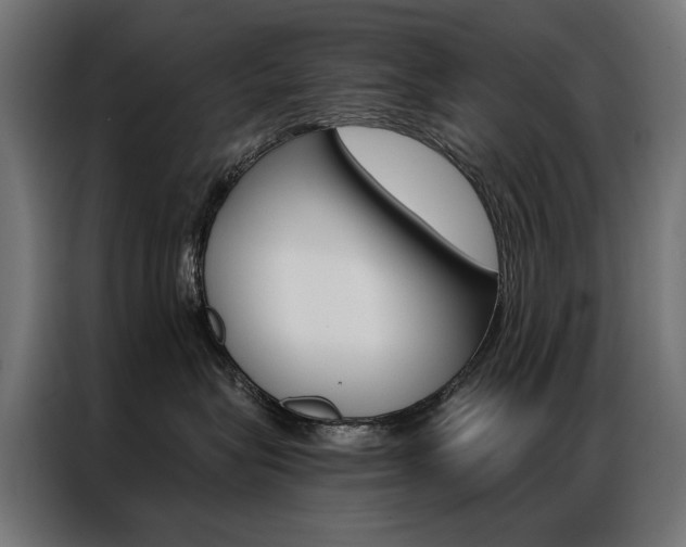 X0000086950575200704161100