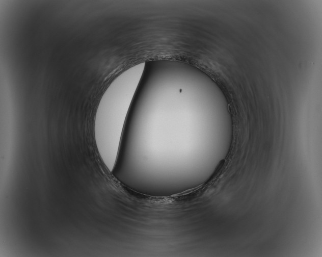 X0000086950576200704161100