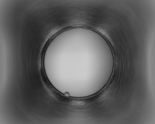 X0000086950582200704161059