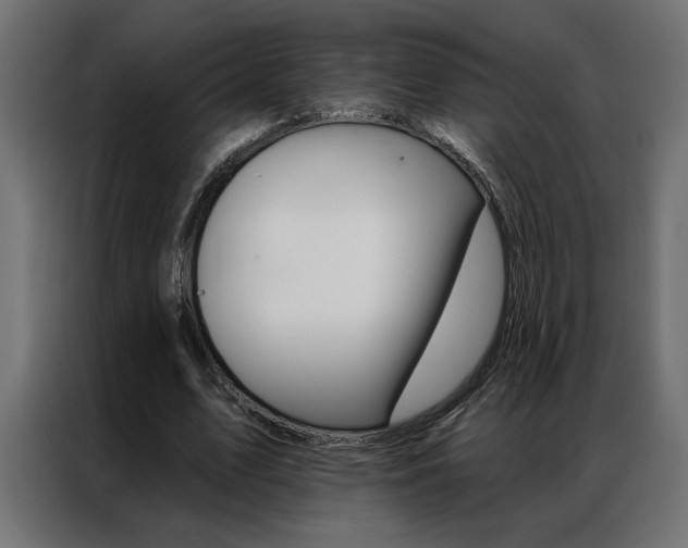 X0000086950583200704161059