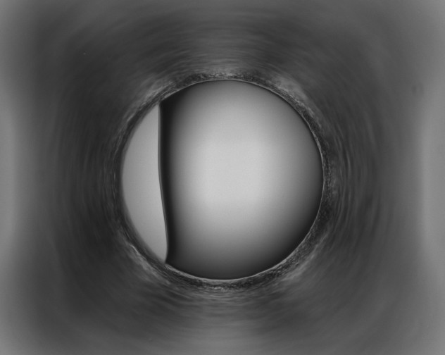 X0000086950585200704161059
