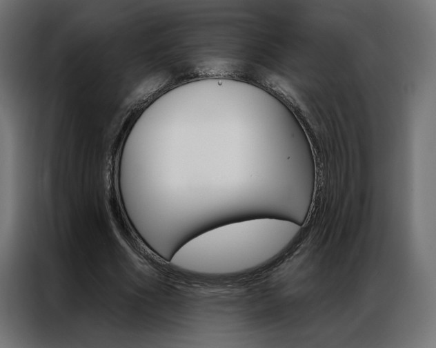 X0000086950586200704161059