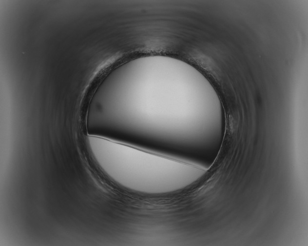 X0000086950588200704161059