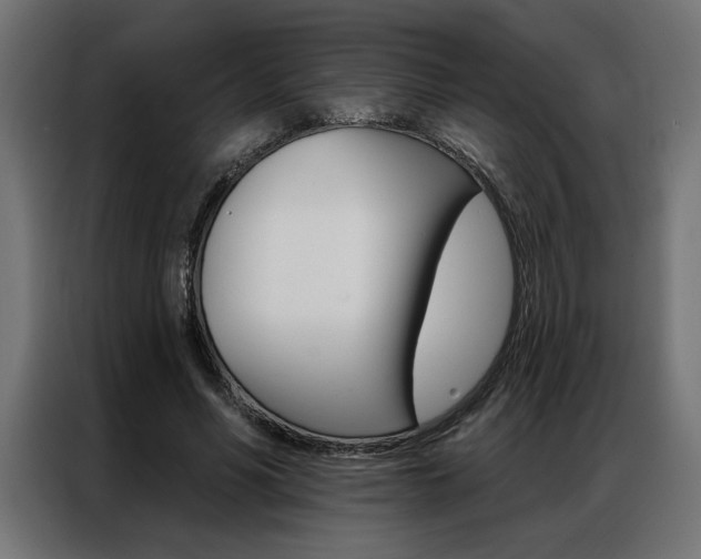 X0000086950590200704161059