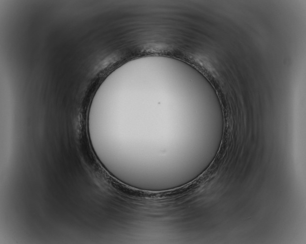 X0000086950591200704161059