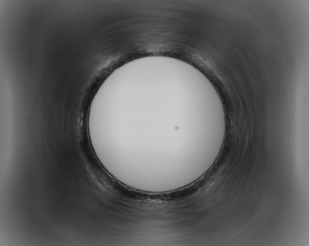 X0000086950592200704161059