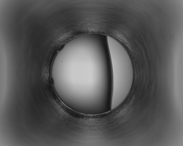 X0000086950593200704161059