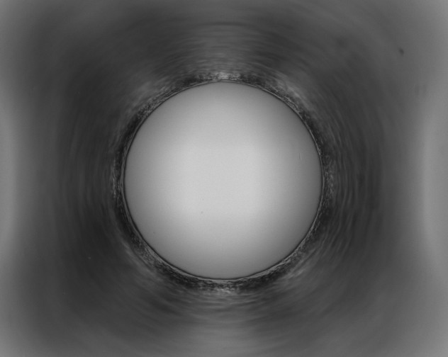 X0000086950594200704161059