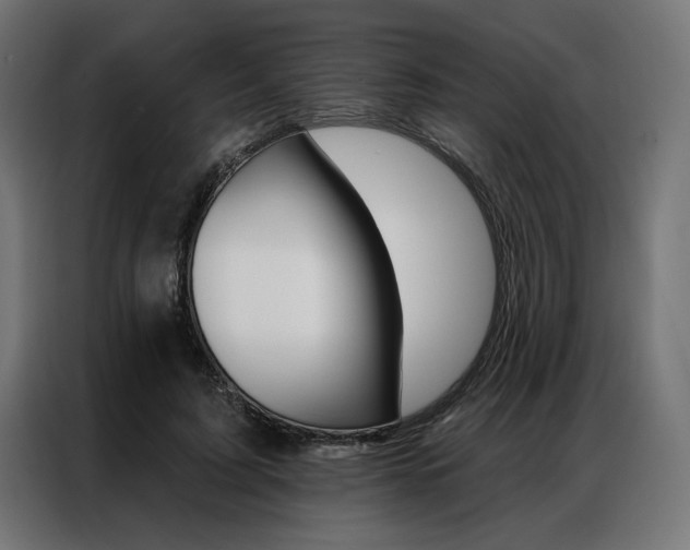 X0000086950595200704161059