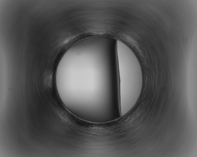 X0000086950596200704161059