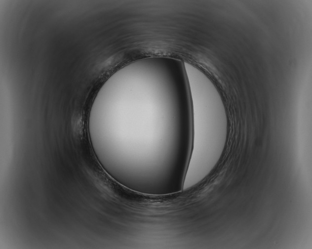X0000086950597200704161059