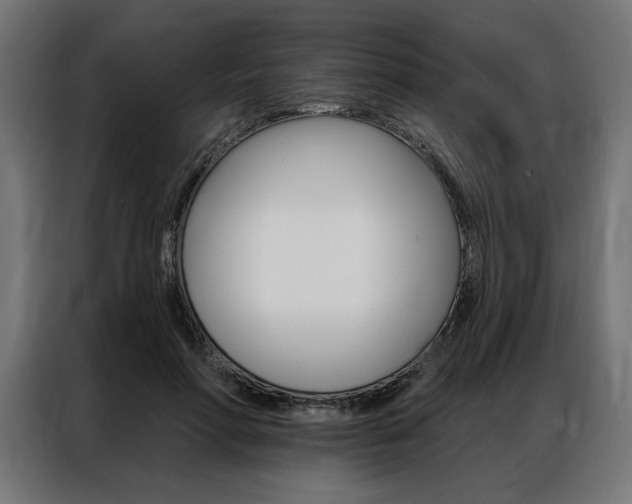 X0000086950598200704161059