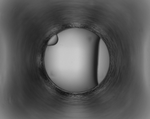 X0000086950599200704161059