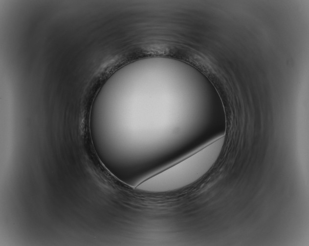 X0000086950600200704161059