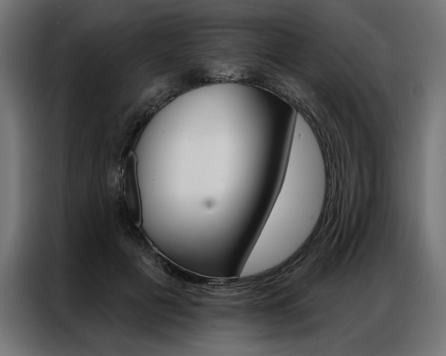 X0000086950601200704161059
