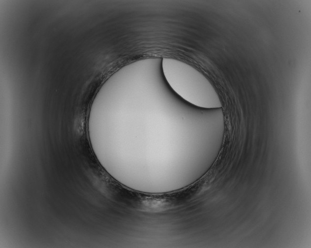 X0000086950602200704161059