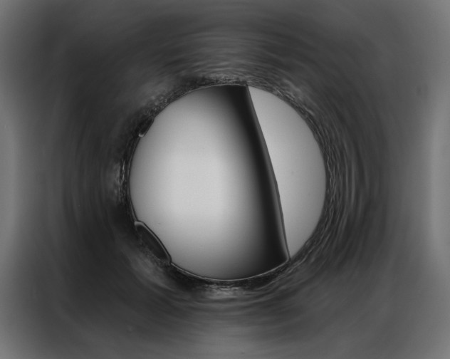 X0000086950605200704161059