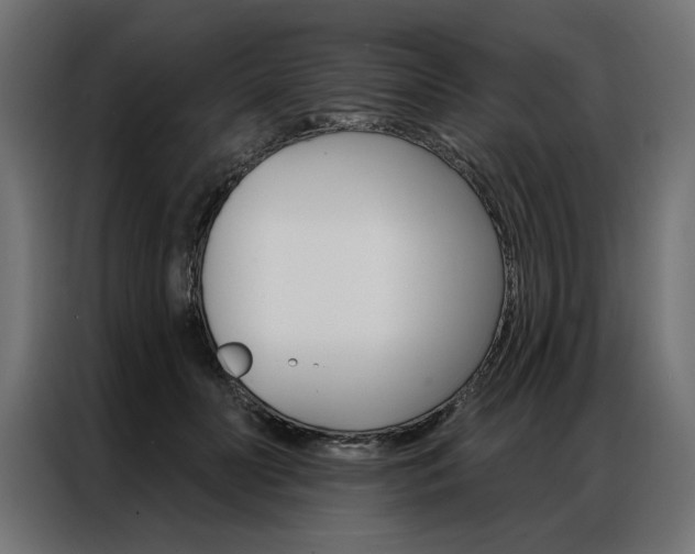 X0000086950606200704161059