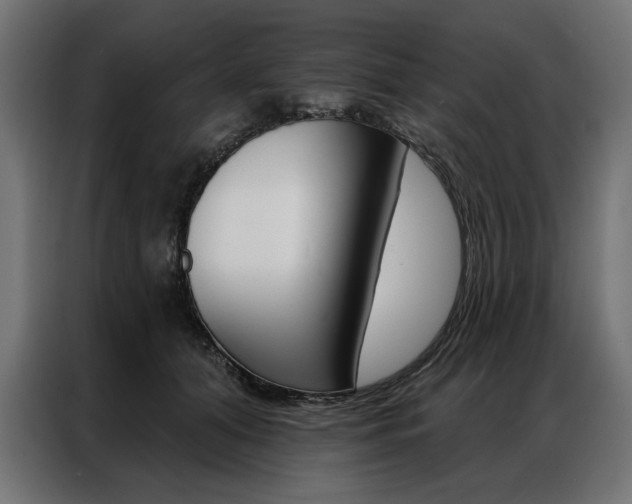 X0000086950608200704161059