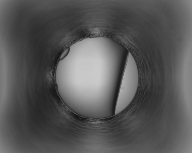 X0000086950611200704161058
