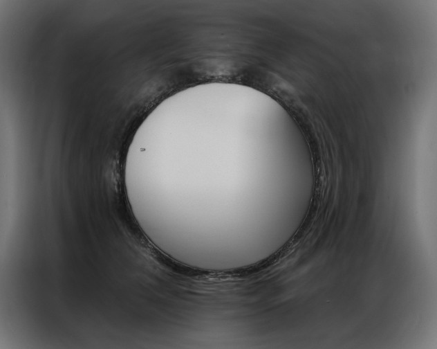 X0000086950612200704161058