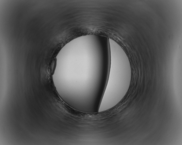 X0000086950613200704161058