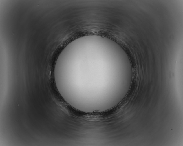 X0000086950615200704161058