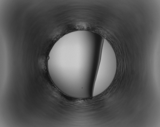 X0000086950616200704161058