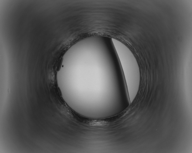 X0000086950617200704161058